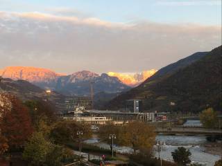 Appartamento in in affitto da privato a bolzano via giosuè carducci