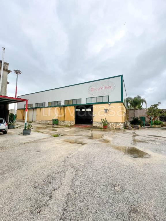 immagine annuncio 2 di 7