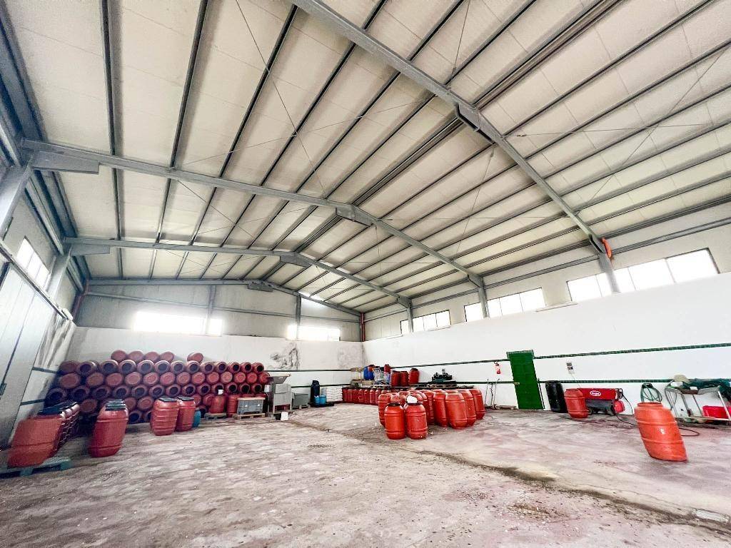 immagine annuncio 3 di 7