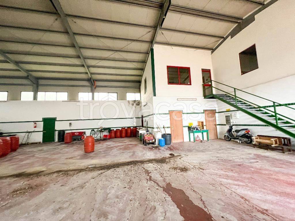 immagine annuncio 4 di 7