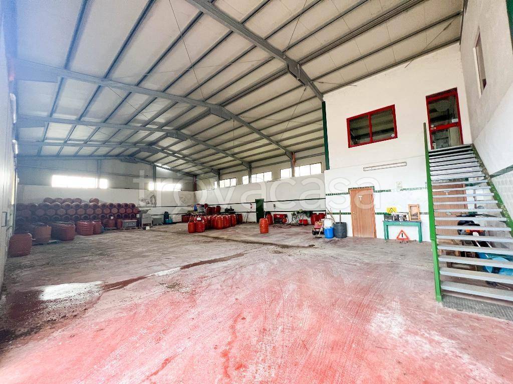 immagine annuncio 5 di 7