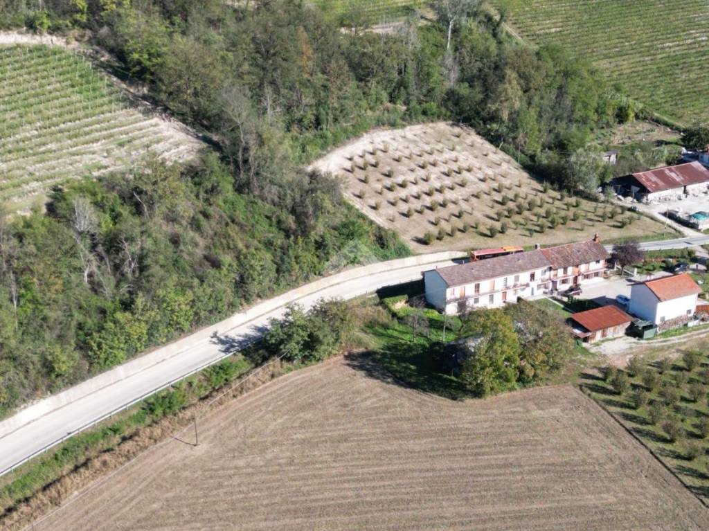 immagine annuncio 3 di 11