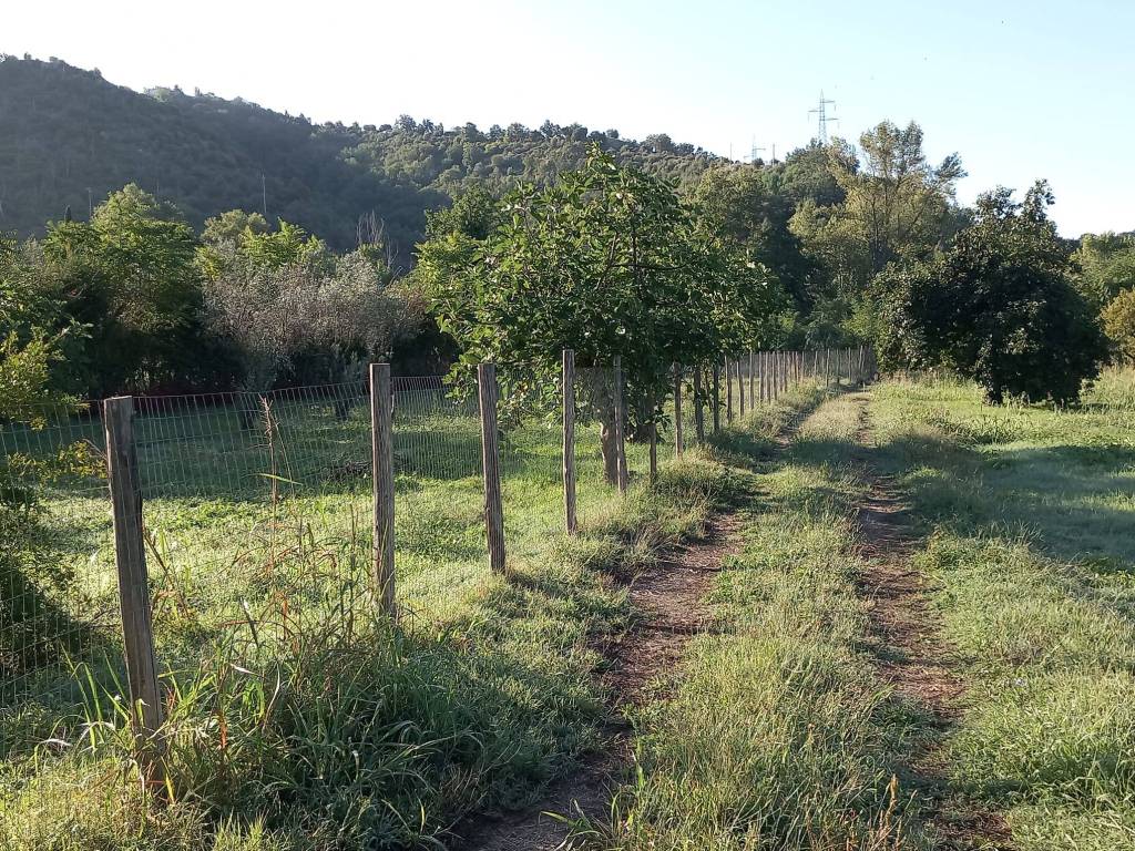 immagine annuncio 8 di 14