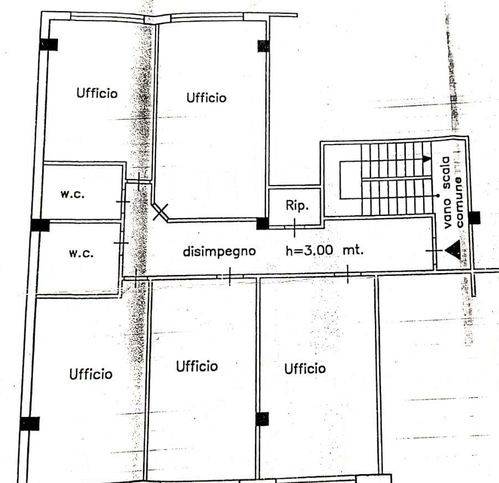 immagine annuncio 5 di 6