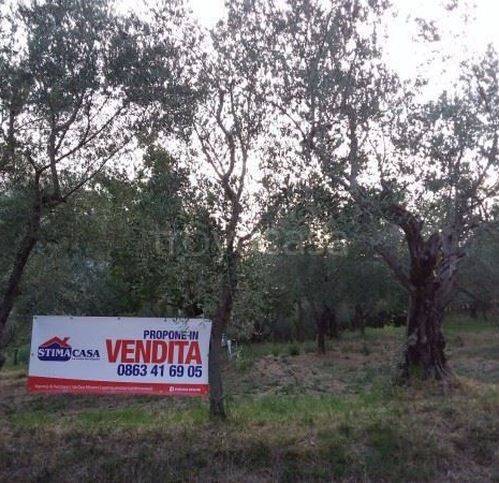 Terreno Agricolo in vendita a San Vincenzo Valle Roveto via Chiesa