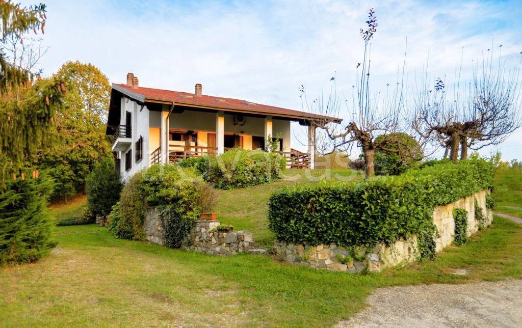 immagine annuncio 5 di 14