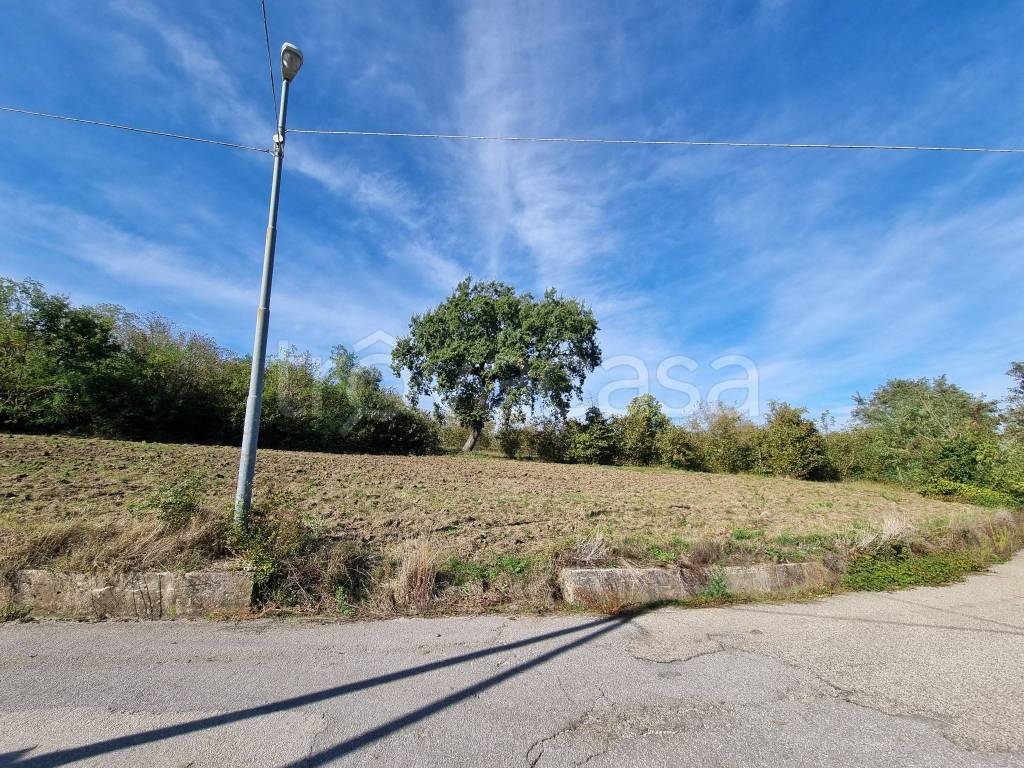 immagine annuncio 4 di 12