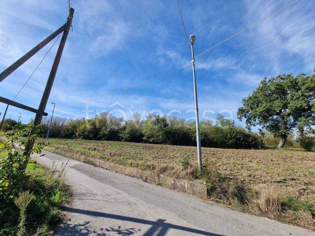 immagine annuncio 6 di 12
