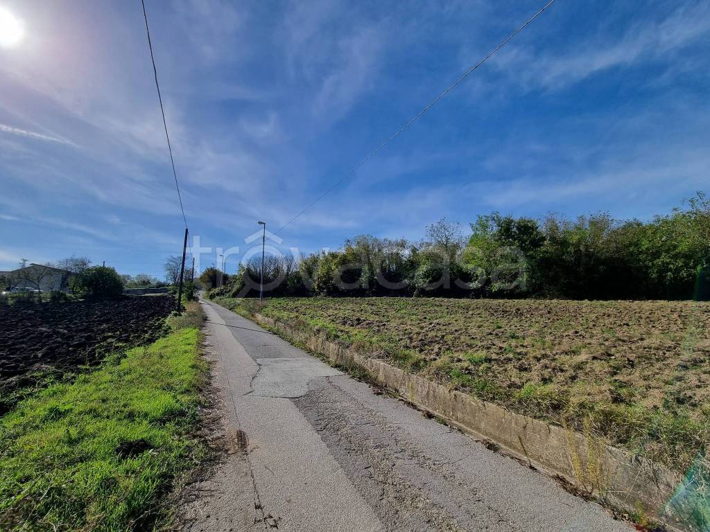 immagine annuncio 8 di 12