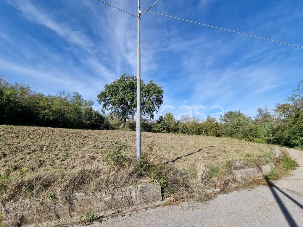 immagine annuncio 11 di 12