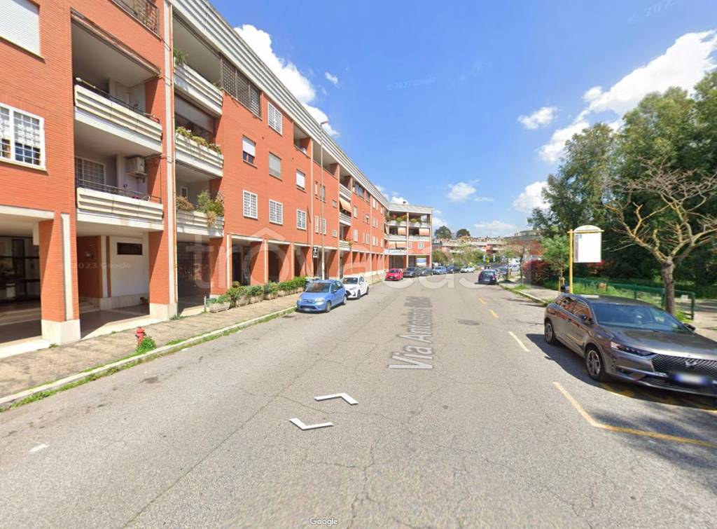Appartamento in affitto a Roma via Antonino Giuffrè