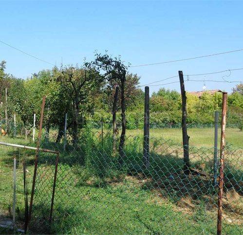 immagine annuncio 3 di 8