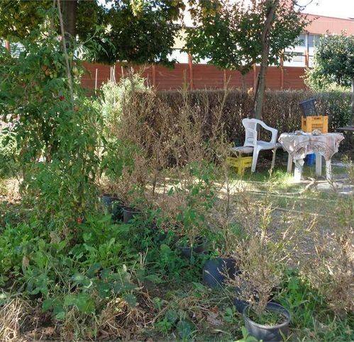 immagine annuncio 7 di 8