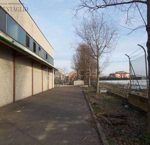immagine annuncio 1 di 2