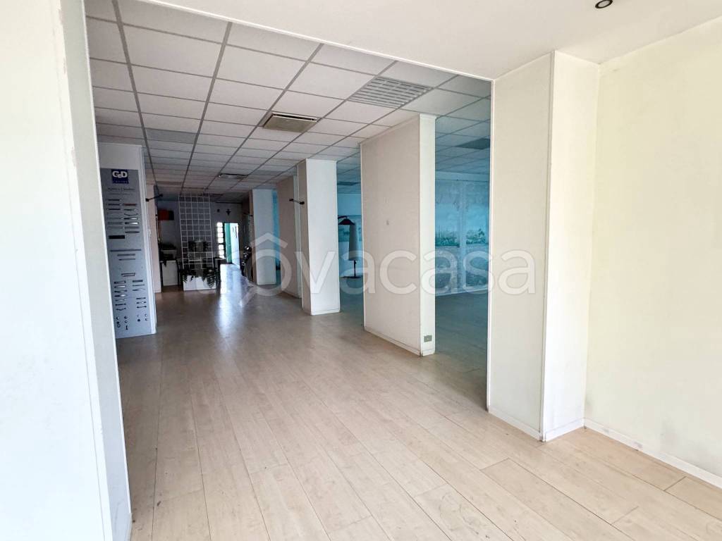 immagine annuncio 9 di 14