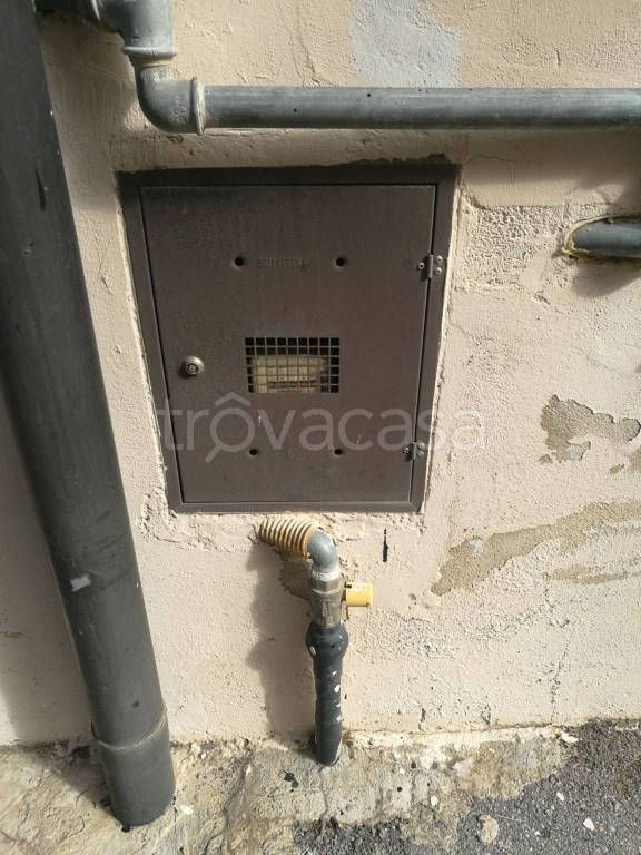 immagine annuncio 2 di 14