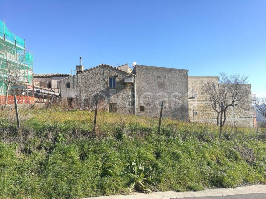 immagine annuncio 10 di 14