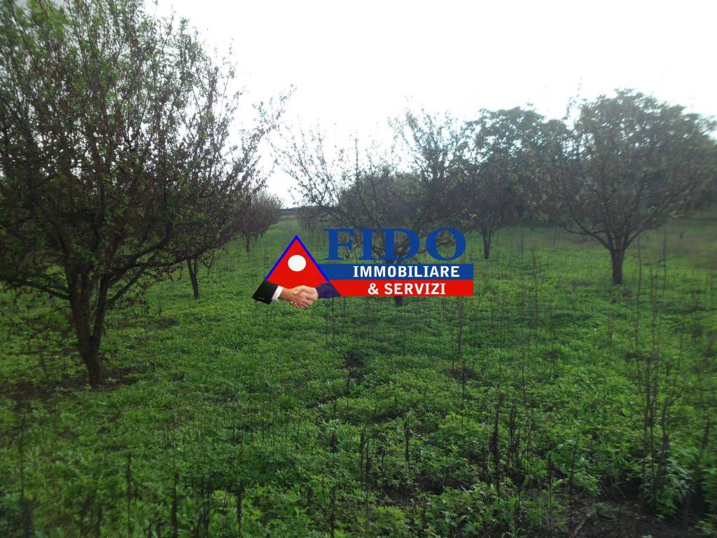 Terreno Agricolo in vendita a Somma Vesuviana via Malatesta