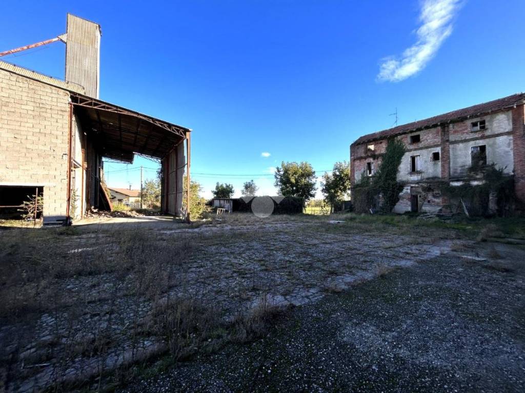 immagine annuncio 12 di 13