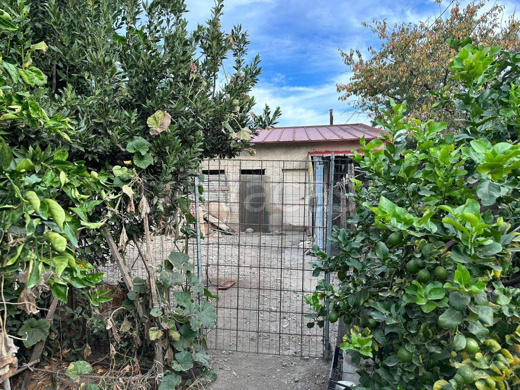 immagine annuncio 8 di 13