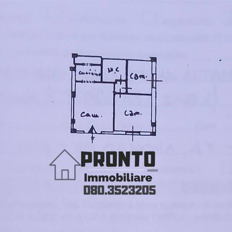 immagine annuncio 1 di 6