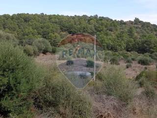 Terreno agricolo in vendita a caltagirone c/da spina santa (santo pietro), sn