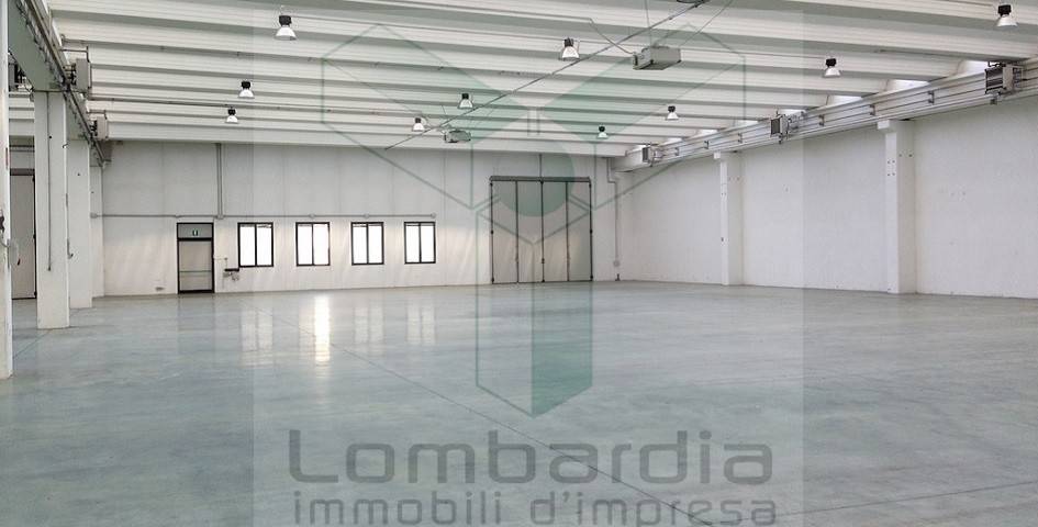 immagine annuncio 2 di 9