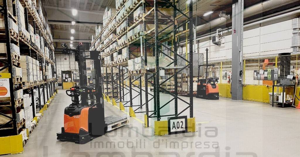immagine annuncio 4 di 9