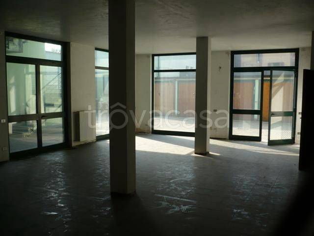 immagine annuncio 7 di 14