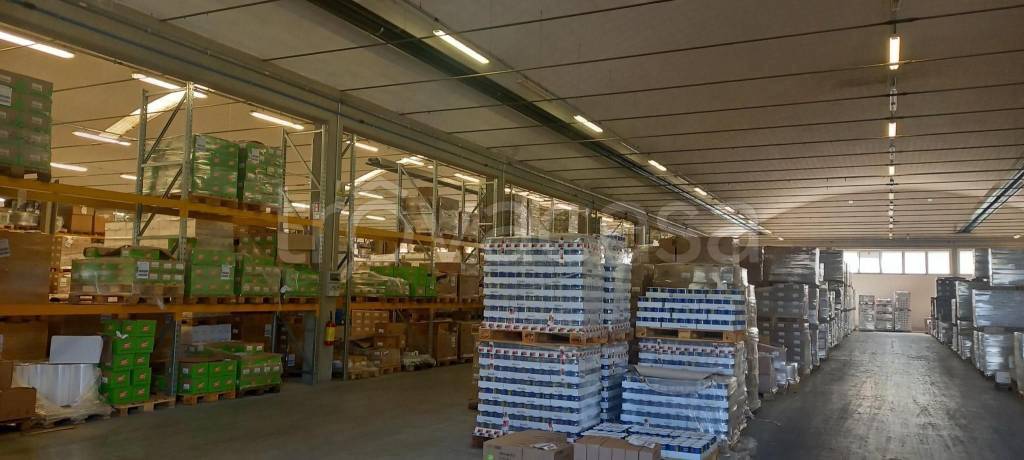 immagine annuncio 8 di 12