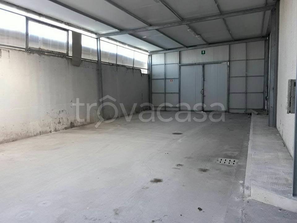 immagine annuncio 6 di 9