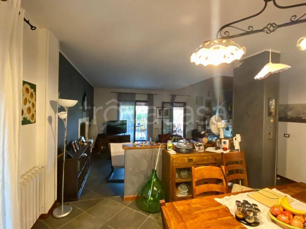 immagine annuncio 7 di 15