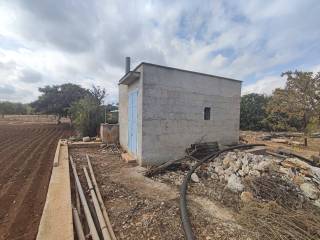 Terreno agricolo in vendita a mola di bari strada provinciale conversano-cozze