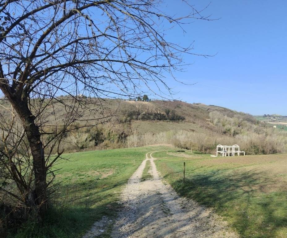 immagine annuncio 5 di 9