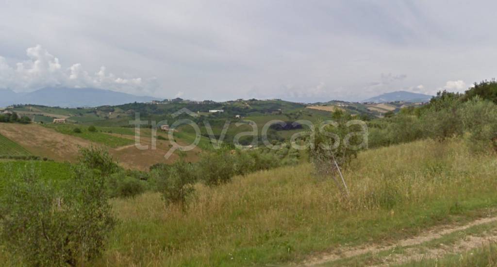 immagine annuncio 4 di 9