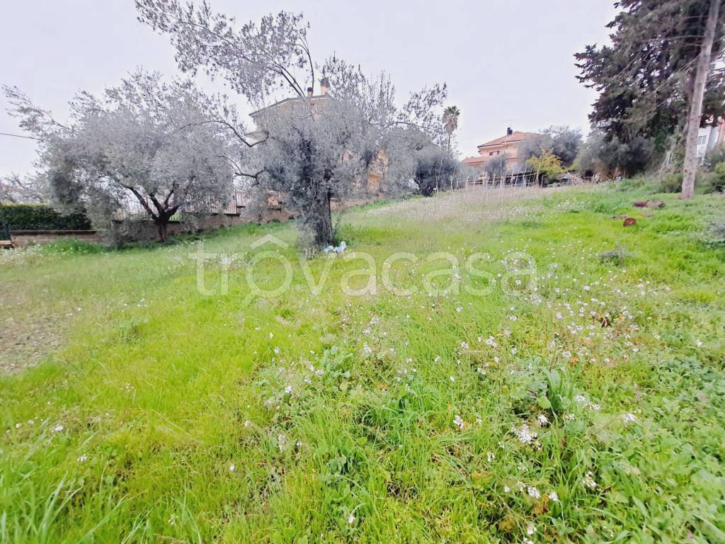 immagine annuncio 3 di 9