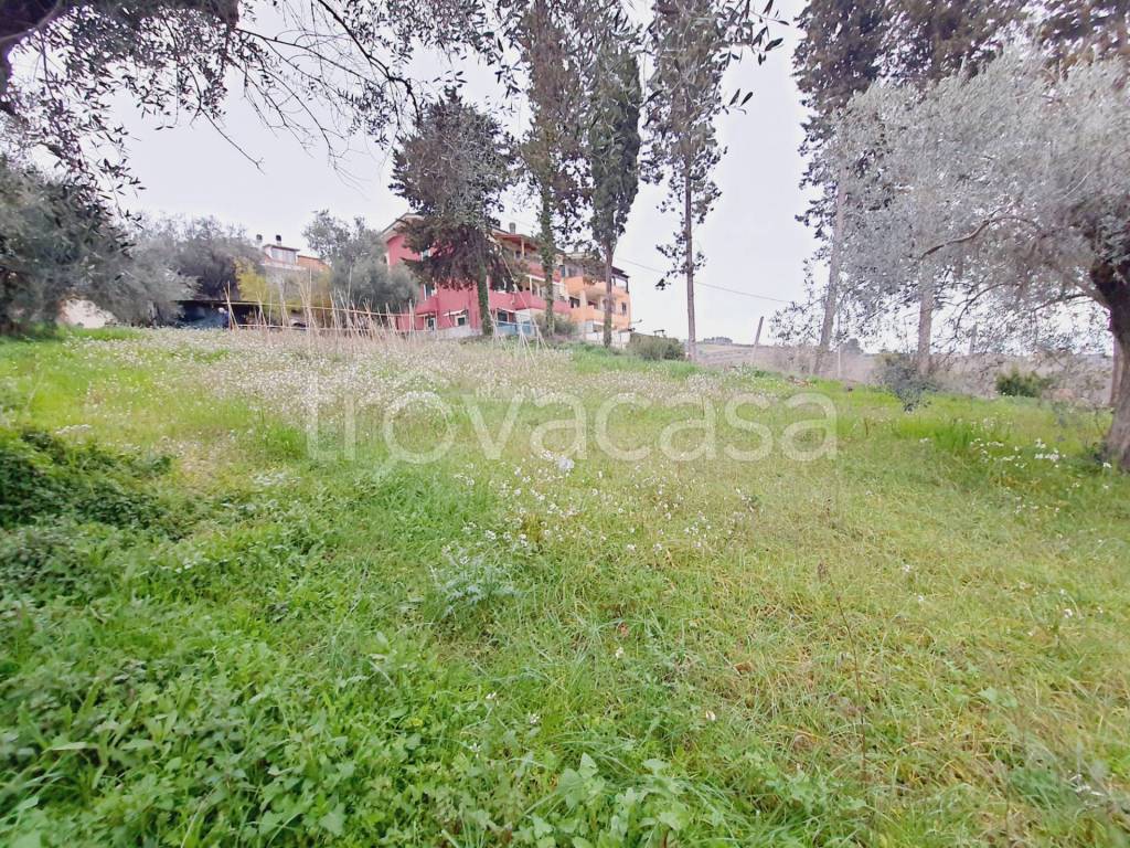 immagine annuncio 5 di 9