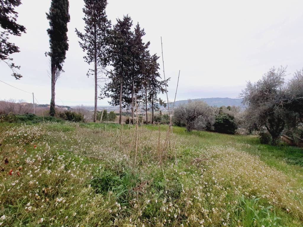 immagine annuncio 7 di 9