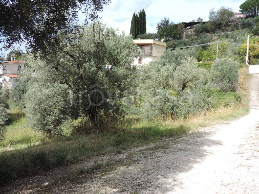 immagine annuncio 10 di 12