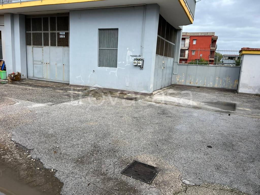 immagine annuncio 5 di 9