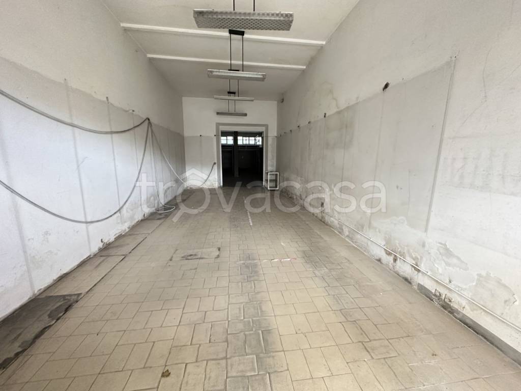 immagine annuncio 1 di 14