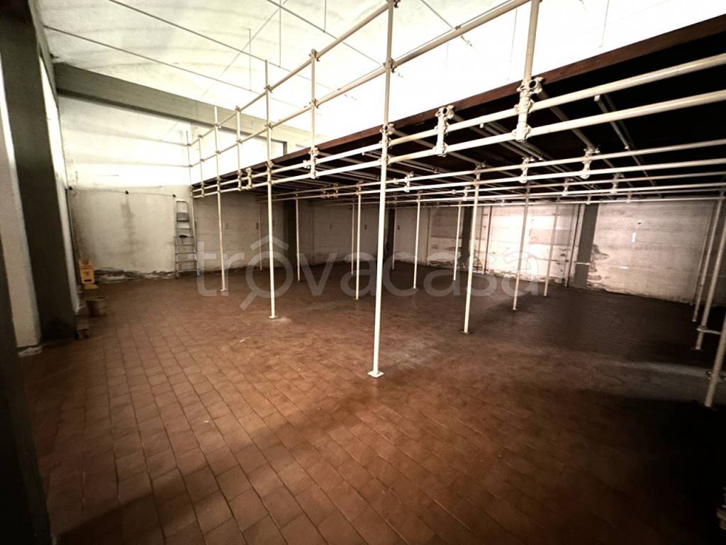 immagine annuncio 2 di 14