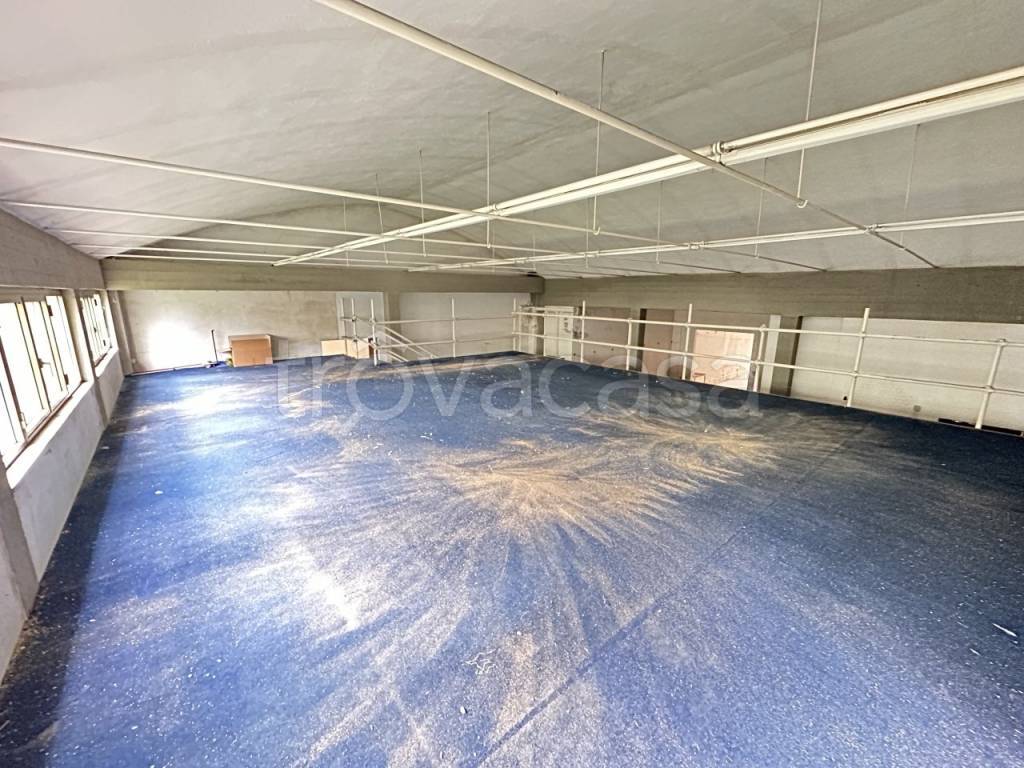 immagine annuncio 5 di 14