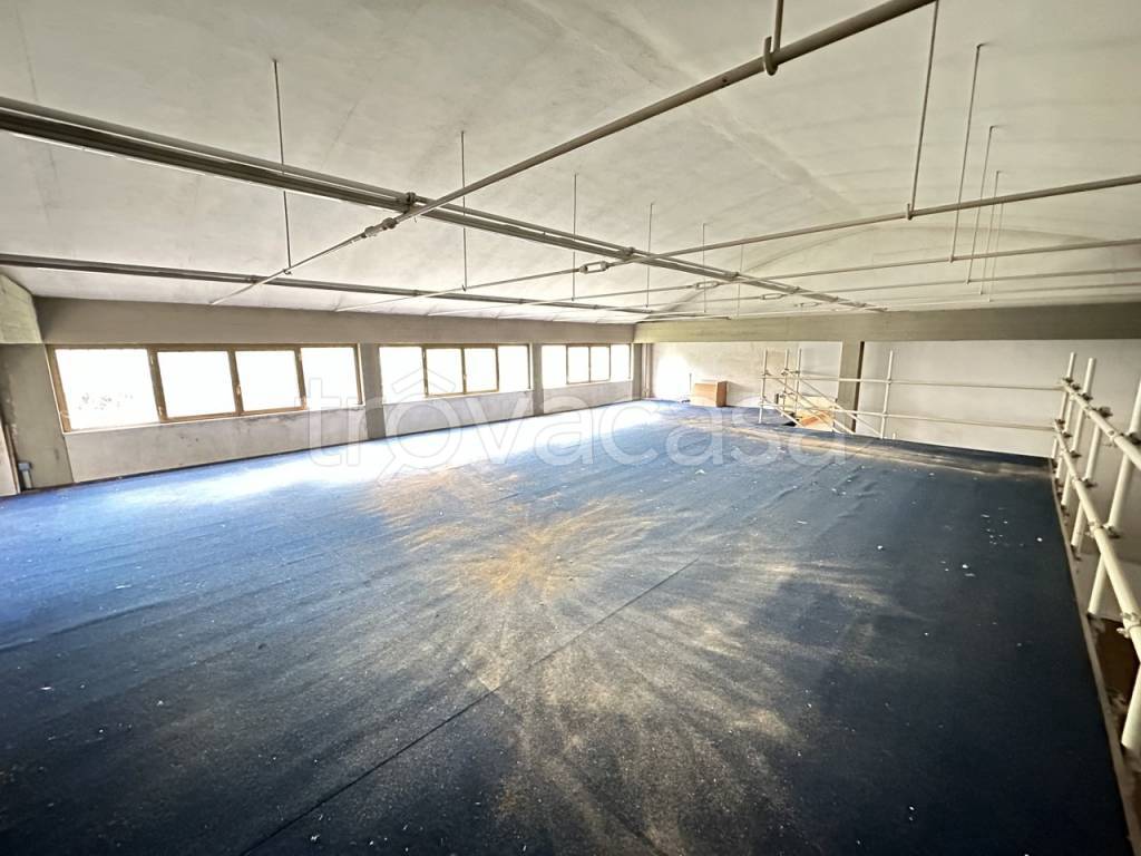 immagine annuncio 6 di 14