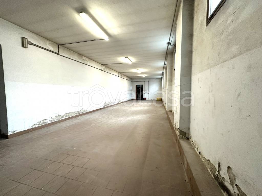 immagine annuncio 10 di 14