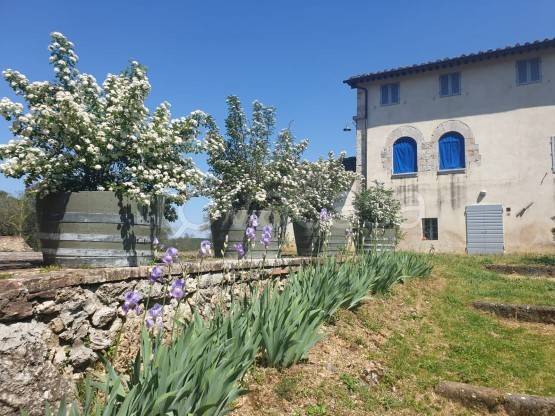 Casale in affitto a Monteriggioni via Provinciale