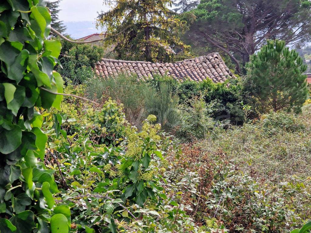 Terreno Agricolo in vendita a Sant'Alfio via Trainara, 43
