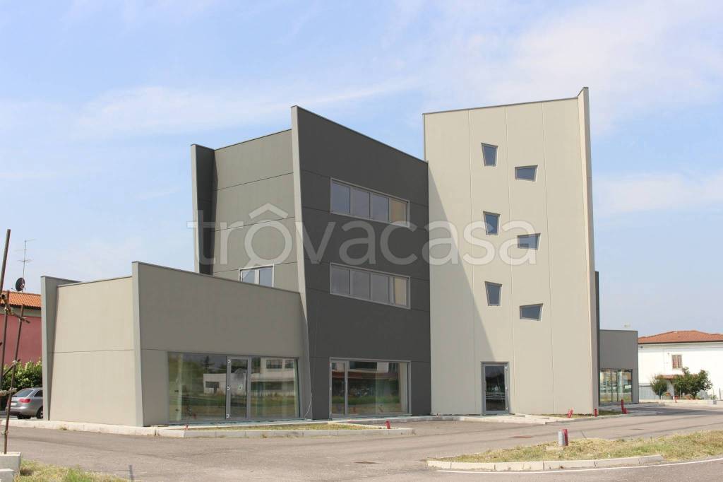 immagine annuncio 4 di 8