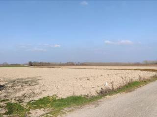 Terreno agricolo all'asta a castelnuovo scrivia strada ceroggia