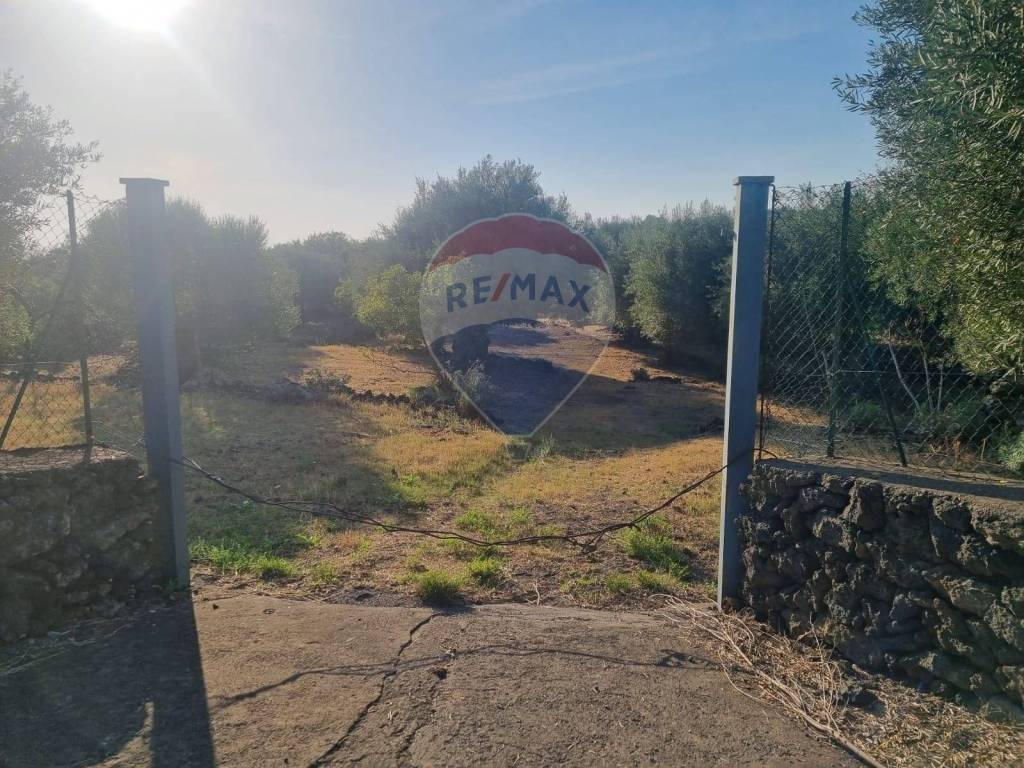 Terreno Agricolo in vendita a Belpasso via calatafimi, snc